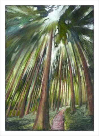 Annie-Taylor-pastel-A-Walk-in-the-Black-Forest
