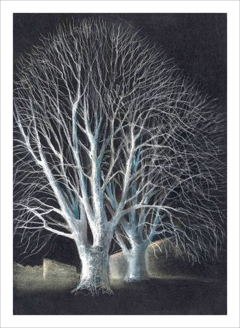 Annie-Taylor-pastel-Ghostly-Lindens