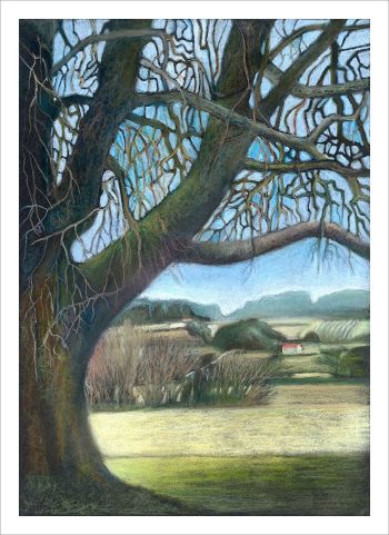 Annie-Taylor-pastel-Les-Brisseaux